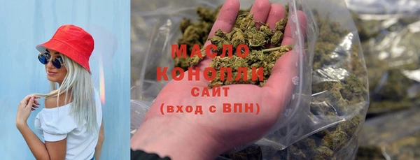 тгк Гусь-Хрустальный