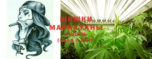 тгк Гусь-Хрустальный