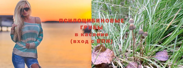 тгк Гусь-Хрустальный
