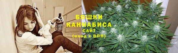 тгк Гусь-Хрустальный